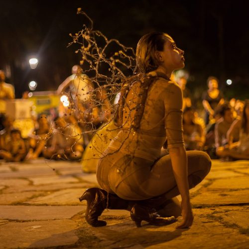 Assembleia Comum (13)